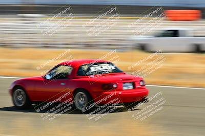 media/Sep-08-2024-VIP Trackdays (Sun) [[e20bd699b9]]/C Group/Session 3-Turns 5 6 and 7/